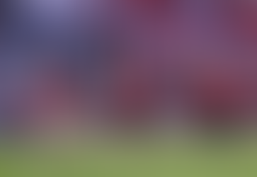 Football: Les clubs algériens persistent dans les incidents extra-sportifs contre les clubs Africains... Une vérité qui agite! By- Mohammed Gherrabi