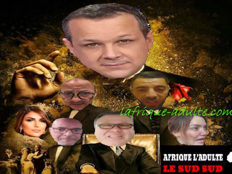 Algérie: comment de faux comptes «mouches électroniques» pro-Tebboune tentent de déstabiliser la France