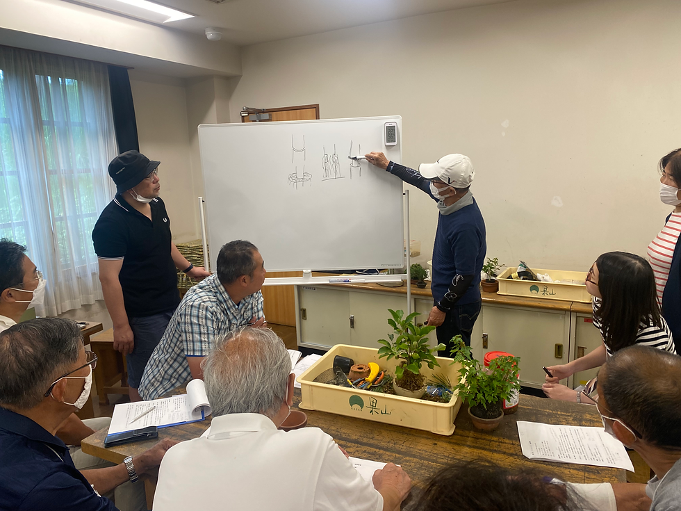 【終了】これからはじめる盆栽教室