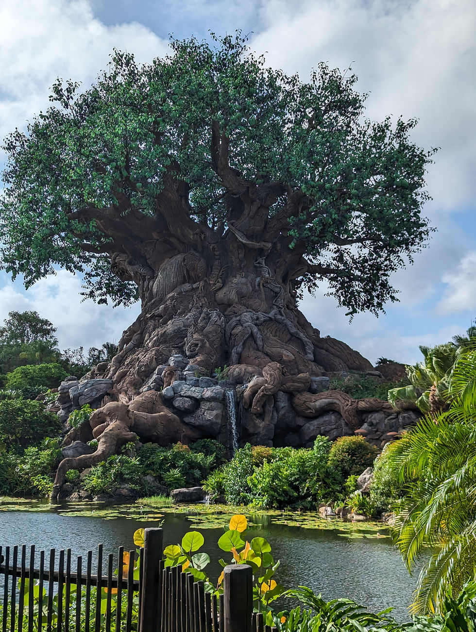 Tree of Life at Disney's Animal Kingdom