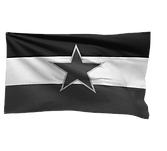 1_Flagge_grau_edited.png