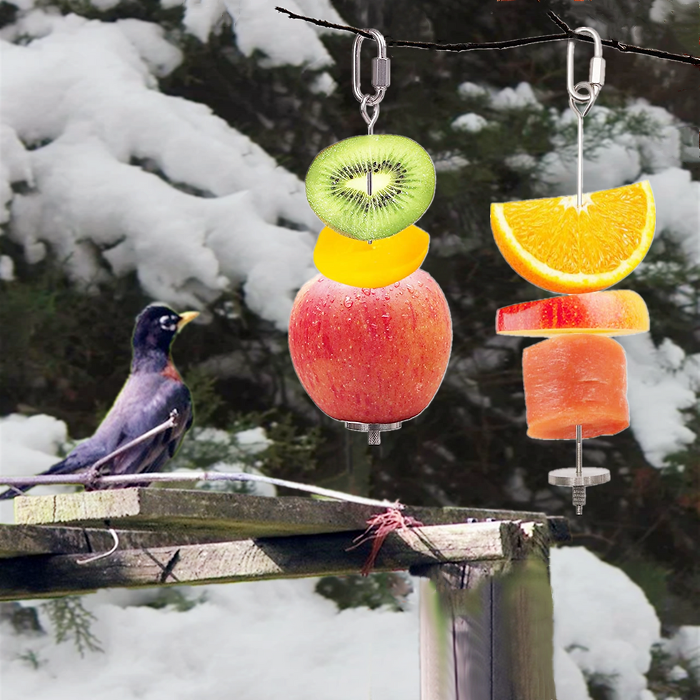 Bird Food Holder, Stainless Steel Parrot Hanging Stick Feeder, 2 Pcs