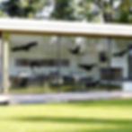 Black Window Bird Decals – Anti-Collision Window Stickers, Protect Wild Birds, 12 pcs