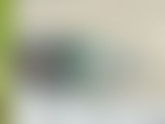 ✈️ 2023年法國花藝遊學團回顧【5】— 藝術家的夢想之地『莫內花園』