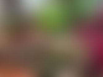 ✈️ 2023年法國花藝遊學團回顧【3】 —法國Piverdie花藝遊學課程