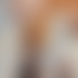 麵包。花   在貓島上