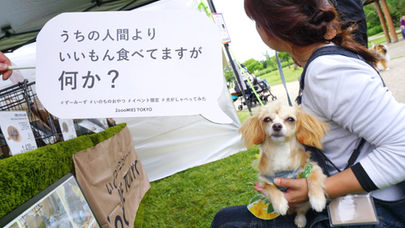 イベント出店を経験して、シカさん太郎爆売れの謎。