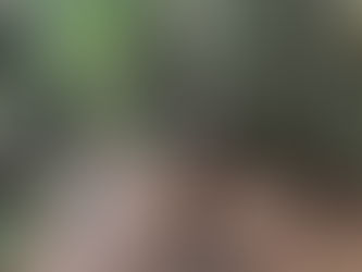 夏休み中の猟師行脚①