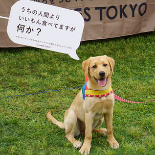 250524_メリアスdogマルシェ