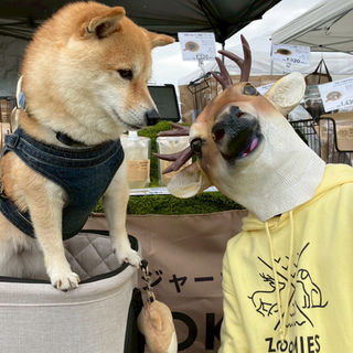 250426_ワンタイムマルシェ