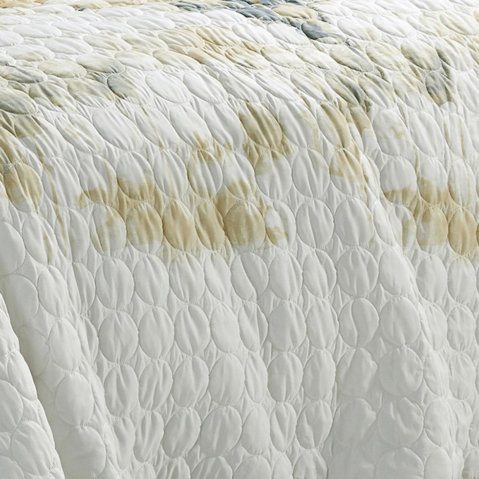 Thumbnail: Eudora 3PC BEDSPREAD SET