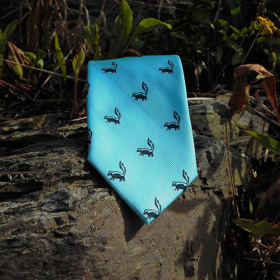 Thumbnail: Skunk Necktie - Sea Green, Woven Silk