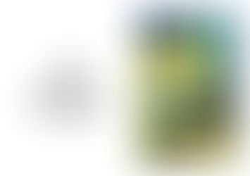 1° Encontro de Microrregiões Catarinense em Óptica & Optometria