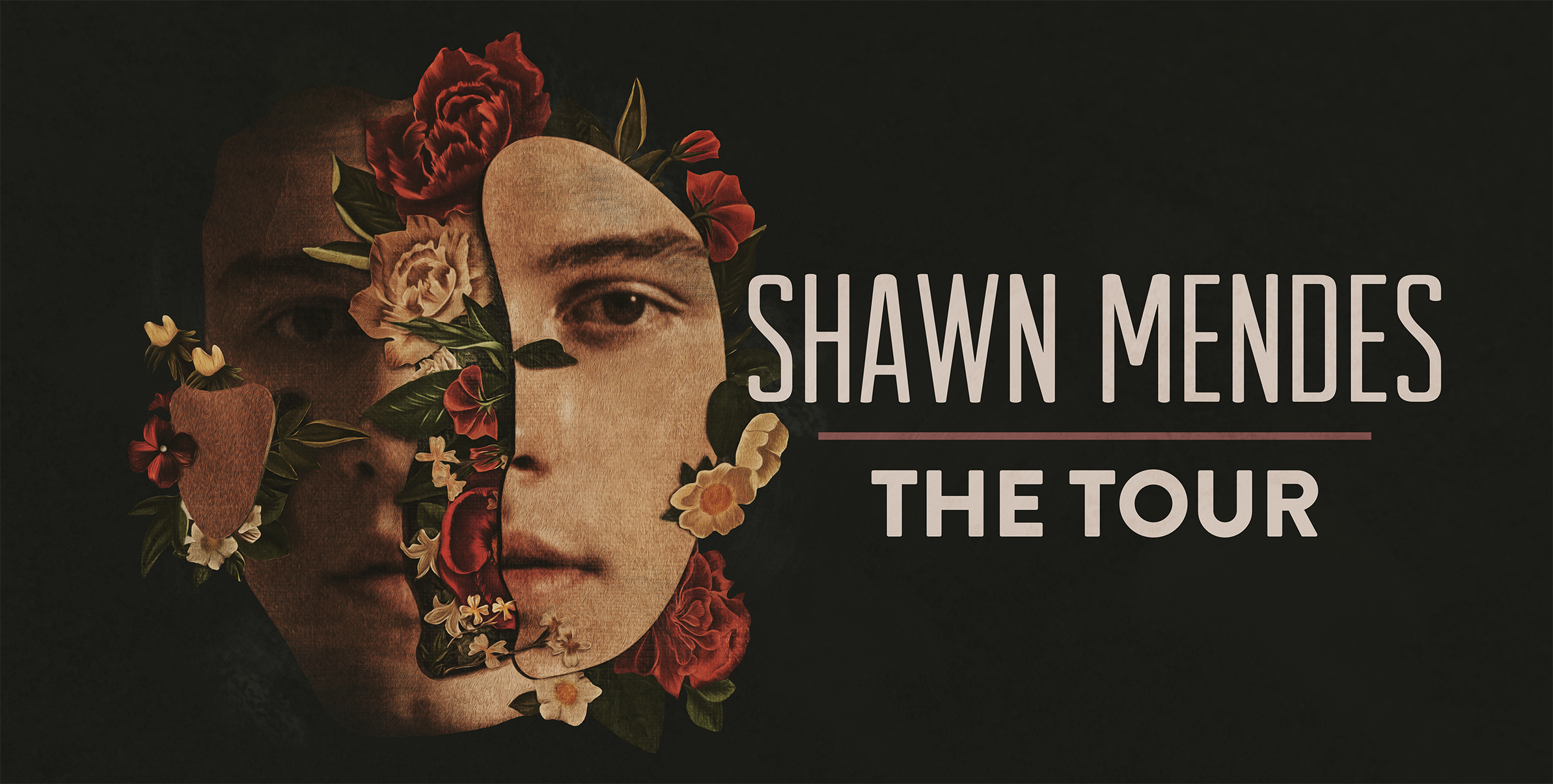 Shawn Mendes The Tour