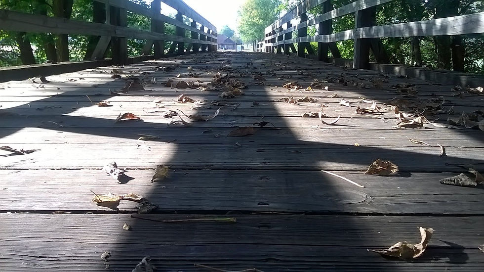 Go Forward