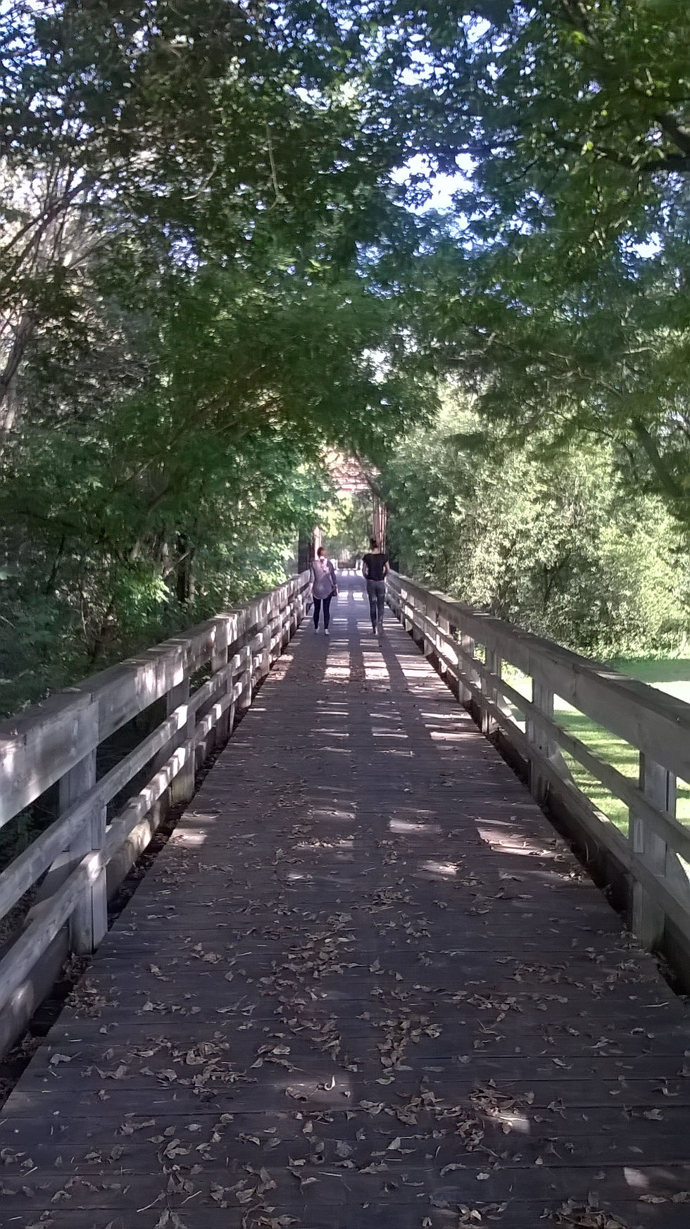 Untitled Adventure with Friends #4