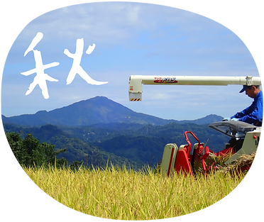 アセット 9_4x.png