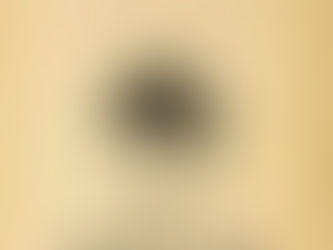 Beige poster with black palm logo, The Newton Agency, and text on branding, strategy, identity, art, website.