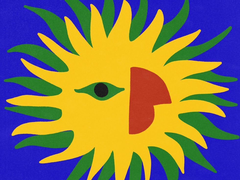 BRANDING GRAPHIC FOR PINAR IN MADRID.