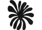 TNA flower