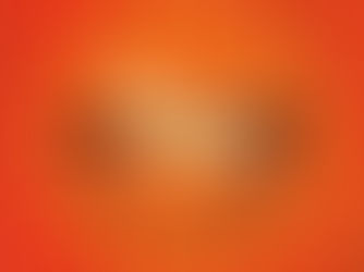 Retro orange sunburst poster with ocean inside a circle, text The Newton Agency and Timeless branding modern strategy