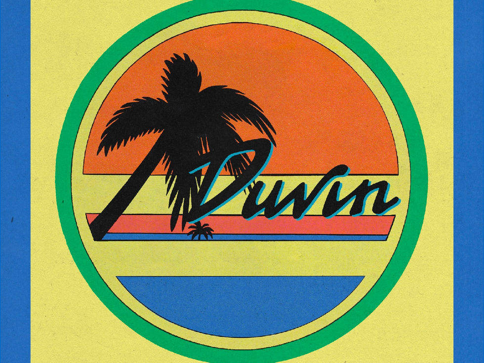 Duvin Design Co. retro sunset brandmark poster — brand design by The Newton Agency Studio