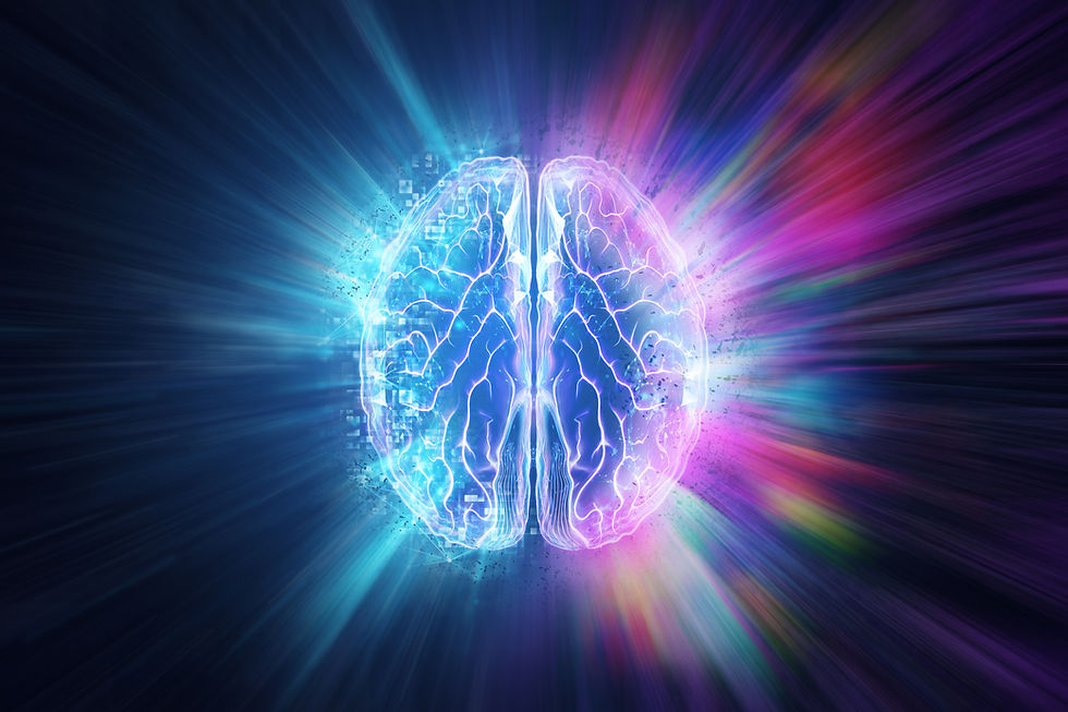 2D rendering of a brain