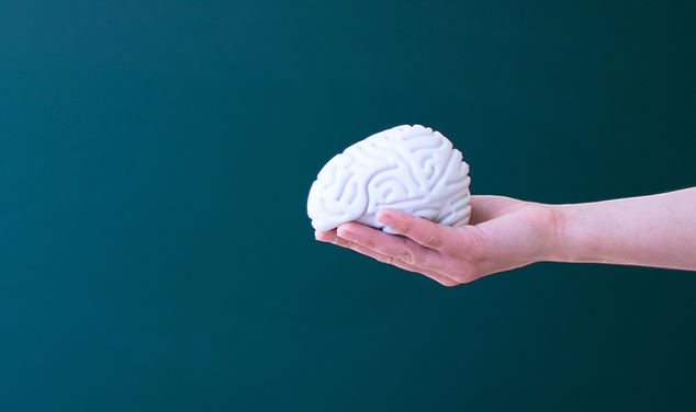 Toy Brain_edited.jpg