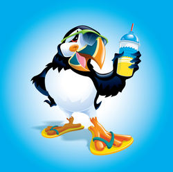Puffin Frozen Drink Art