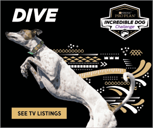 Pro Plan Social Media Gif