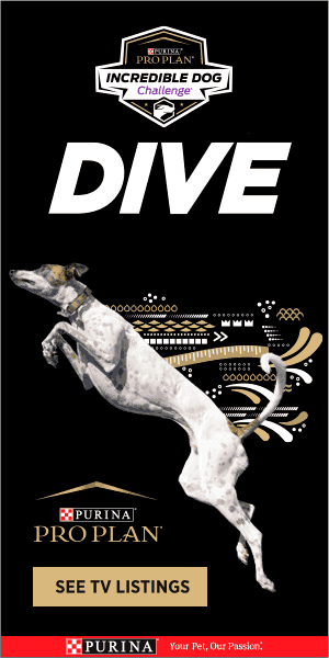 Pro Plan Social Media Gif