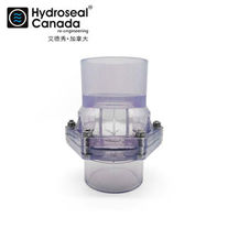 Swing type transparent check valve