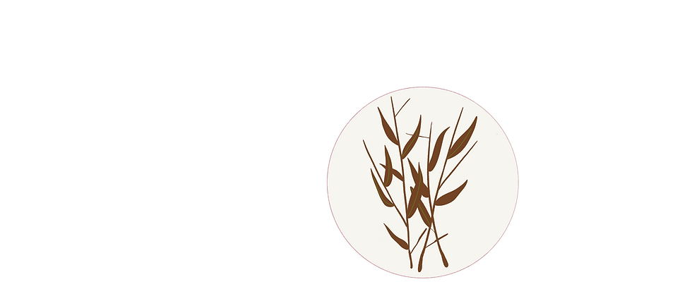 Untitled_Artwork 8.png