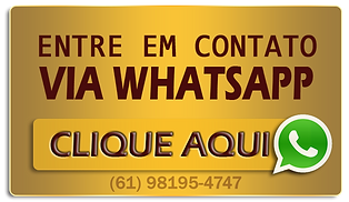 Entre em contato via WhatsApp