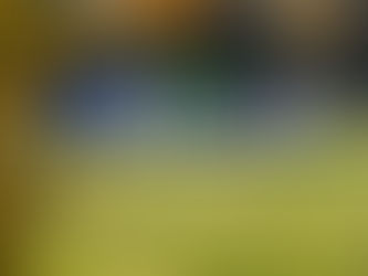 «AGRITECHNICA 2025»