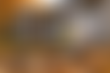 dezinfectie deratizare dezinsectie DDD Bucuresti