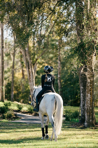 HenrySportHorses-233.jpg