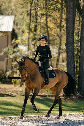 HenrySportHorses-203.jpg