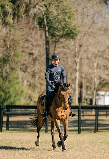 HenrySportHorses-212.jpg
