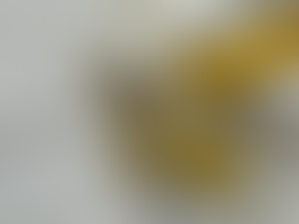 The Artistic Alchemy of Benzoin: A Perfumery Delight in Acrylic