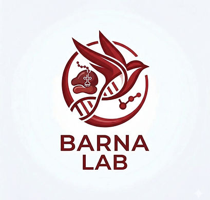 BarnaLabLogo.jpg