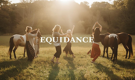 equidance.jpeg
