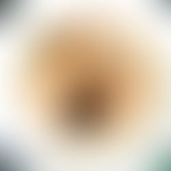 It's Pasta for any occasion (#2 - seafood)!