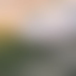 A man surfing on the beach.