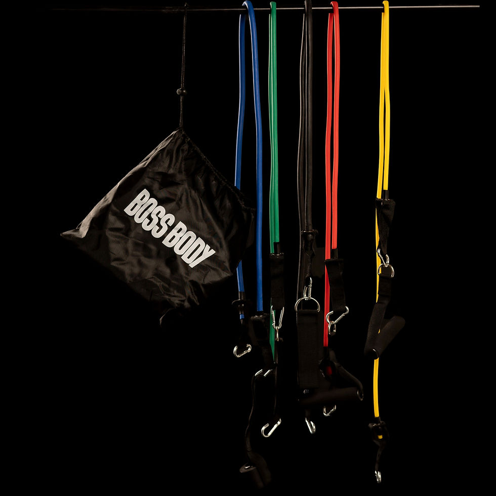 The Take Anywhere Bad Boy BOSS BODY Gym