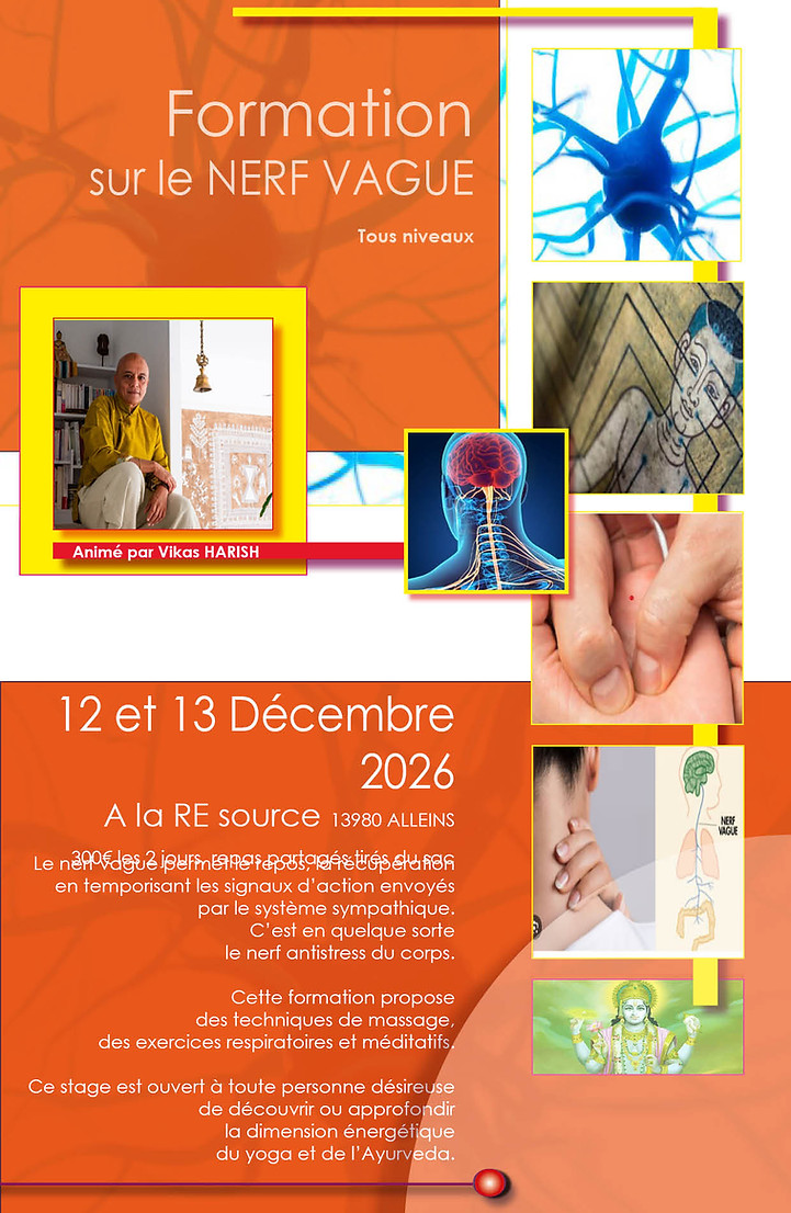 AFFICHE FORMATION sur le NERF VAGUE du 12 et 13 Decembre 2026.jpg