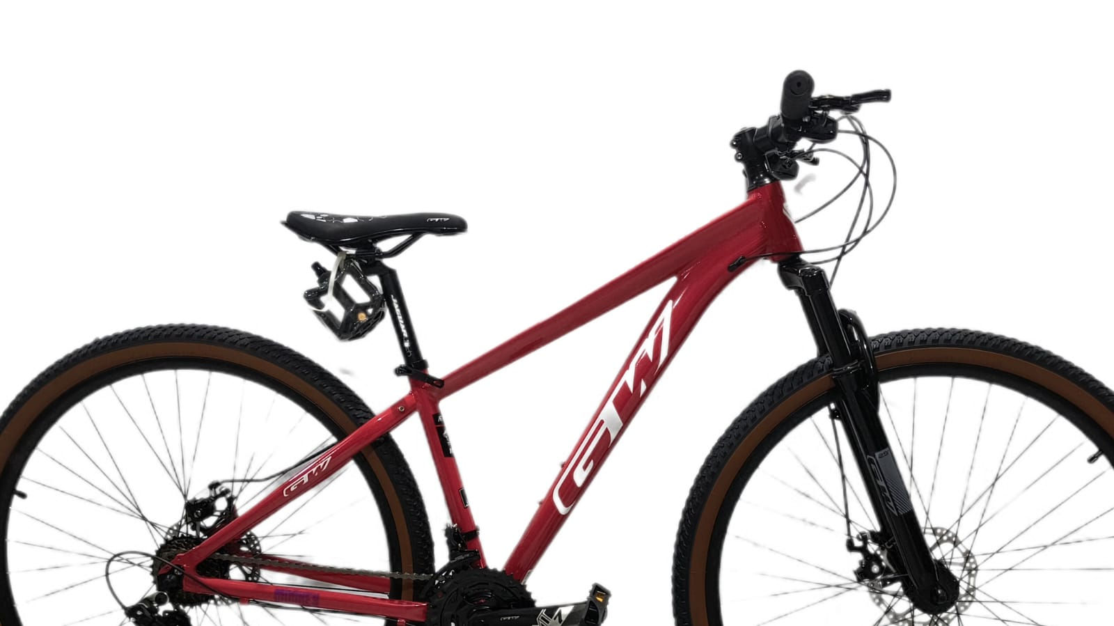 29 roja Monkey