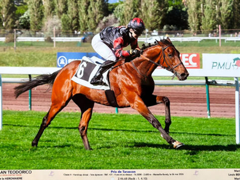 Marine Lebas, des concours de CSO aux hippodromes