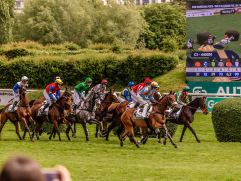 La nouvelle génération s’impose dans les courses d’obstacle