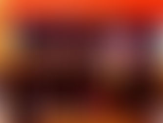 STAGE DE PREMIÈRE LICENCE : FEU VERT POUR 13